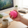 1 x Igelball Stachelball ca.10 cm in diversen Farben