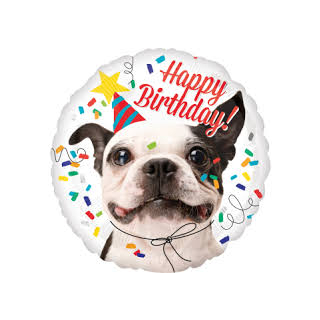 Happy Birthday Hund