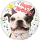 Happy Birthday Hund