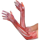 846381-55 - Blutige Handschuhe, Accessoire, Knochen,...