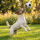 Fußball aufblasbar ca 22cm
