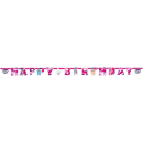 9902514 - Child My Little Pony Letter Banner