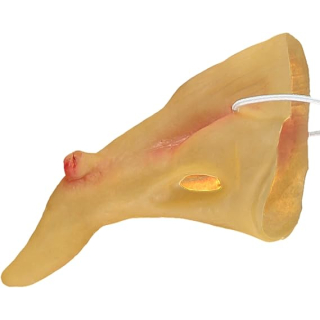 9918098 - Erwachsene Halloween krumme Hexen Nase mit Warze